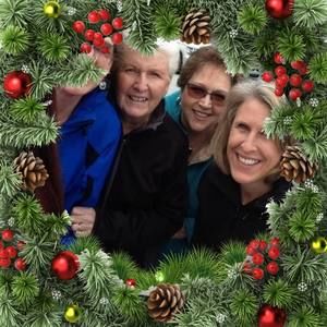 Meet your Posher, Ginger